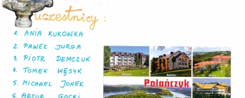 Polańczyk 2015